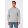 Luz&Pos Erkek Üç İplik Düz Bisiklet Yaka Sweatshirt - Gri