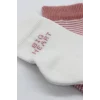 NessiWorld Big Heart Penye Soket Çorap 2Li BS10117 Pudra (ADET FİYATIDIR)