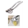 Paslanmaz AA Kalite Çelik Sarımsak Ezeceği Sarımsak Presi Hazneli Maunel Ezici