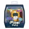 Petz Corgi Dijital Evcil Hayvanını