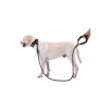 Reflektörlü Köpek Tasması 130 Cm.