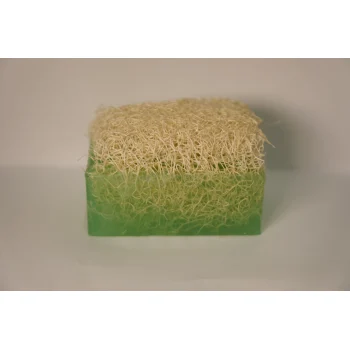 ALOEVERA SABUNU 160GR