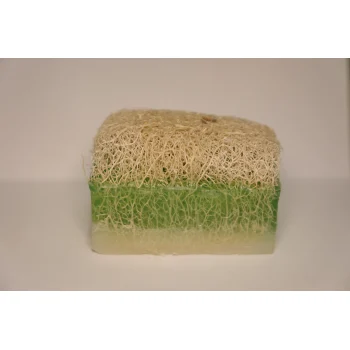 EŞEK SÜTLÜ ALOEVERA SABUNU 160GR