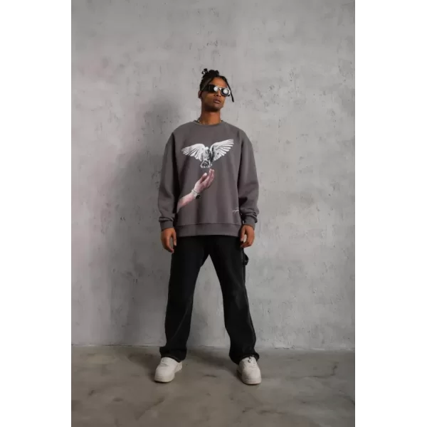 Erkek Güvercin Baskılı Sweatshirt - Gri