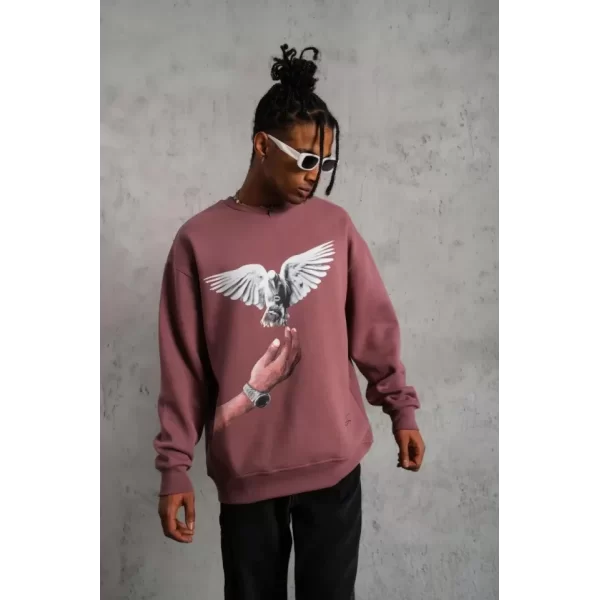 Erkek Güvercin Baskılı Sweatshirt - Gül Kurusu