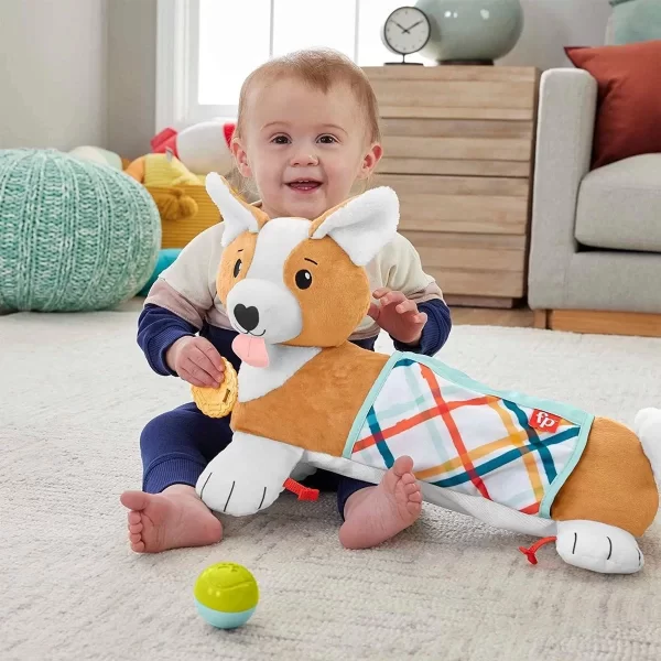 Hjw10 Fisher Price 3ü1 Arada Köpekçik Uzanma Yastığı