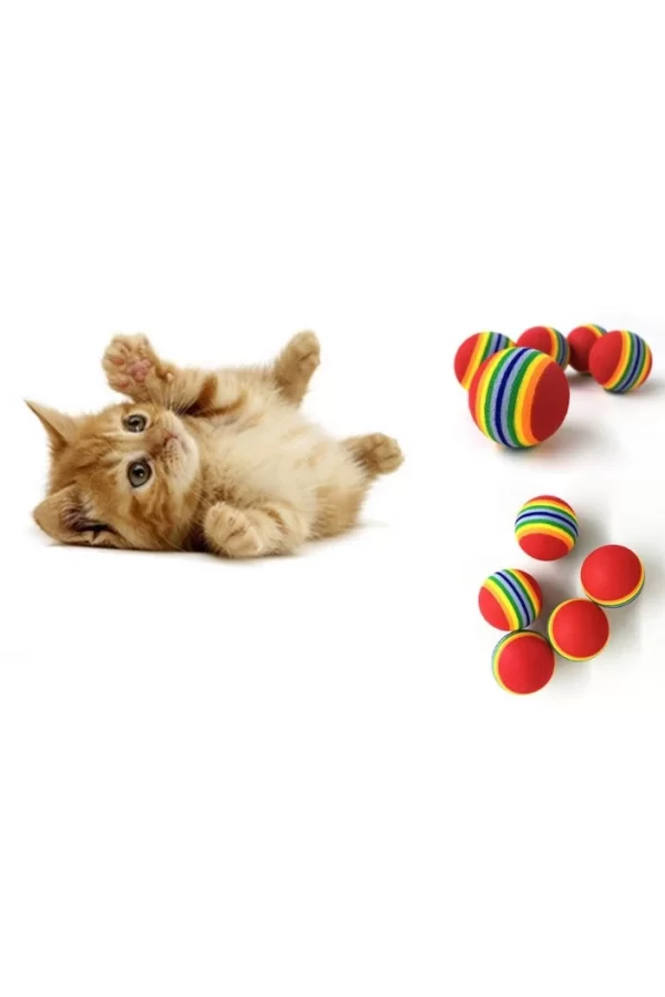 2 ADET GÖKKUŞAĞI RENKLI KEDI KÖPEK OYUN TOPU