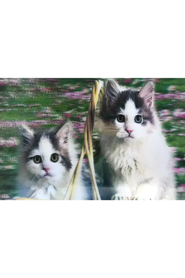 3 Boyutlu Resim  Sevimli Kediler İkili Kedi Resmi Tablosu 40x60 Cm