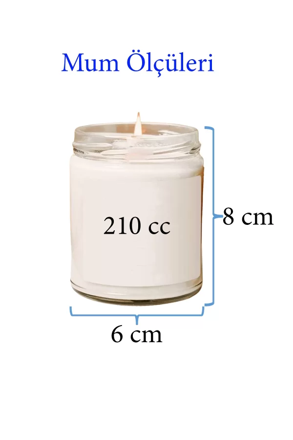 4 Adet Doğal Özel Seri Kokulu Dekoratif Kavanoz Mum 4X210 cc - Fresh Set - RYL