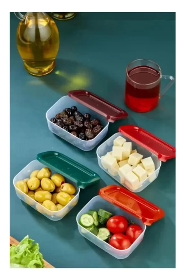 4lü Kapaklı Saklama Kabı Çerezlik Kahvaltılık Piknik Kabı Royaleks-HS-017