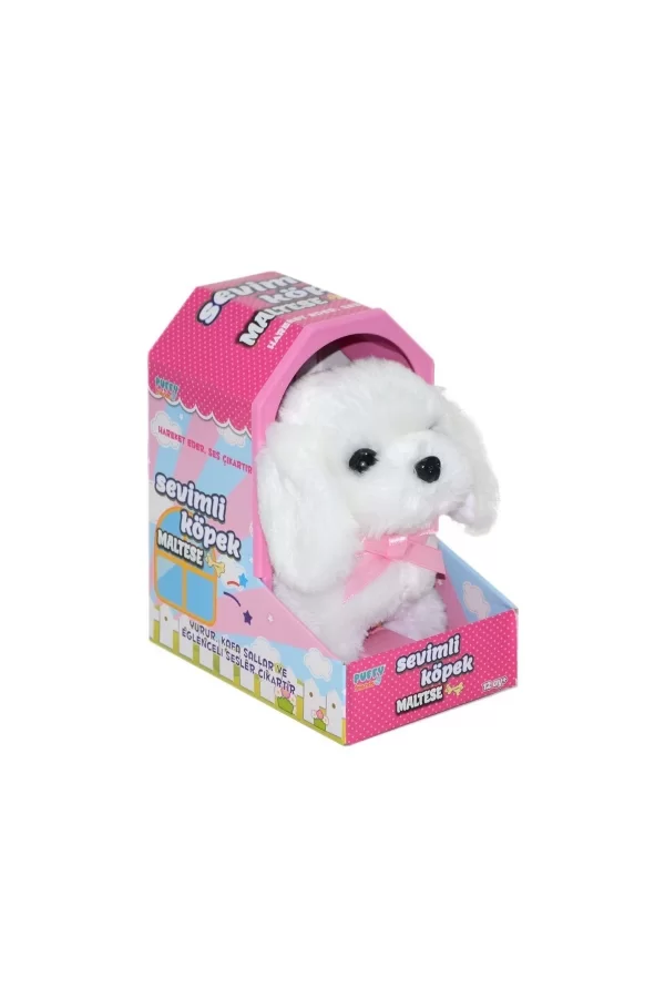 47100 Sevimli Köpek Maltese -sunman