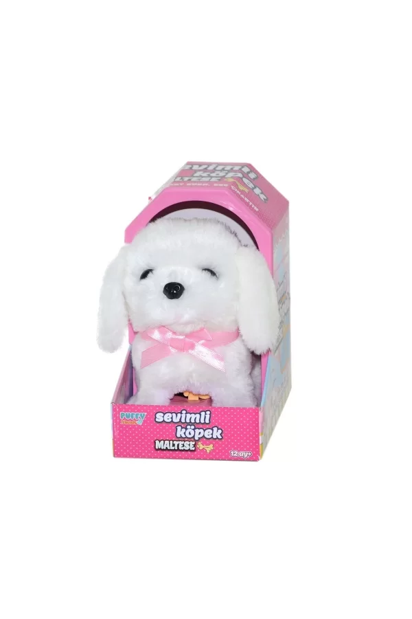 47100 Sevimli Köpek Maltese -sunman