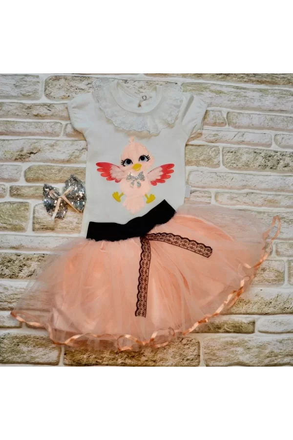 Luz&Pos 9-12-18 Ay Toka Hediyeli Kuş Desenli Tişört Tütü Etek 2li Kız Bebek Takımı Pudra