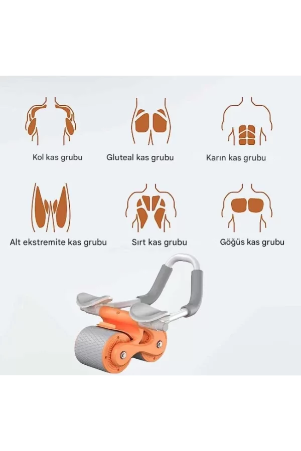 AB Roller Karın Kası Egzersiz Tekerleği