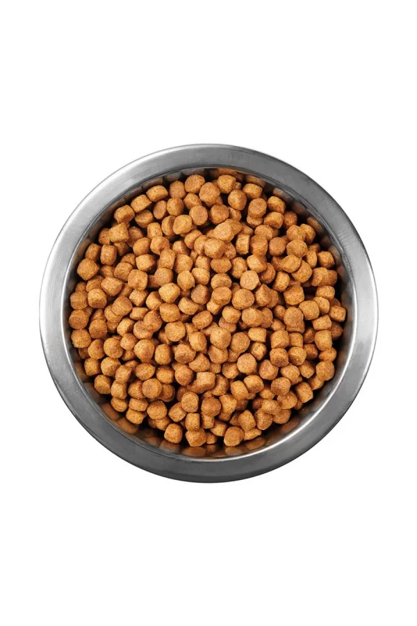 Animal World Tavuk Balık Karidesli Yavru kedi Maması 1 Kg Açık Mama