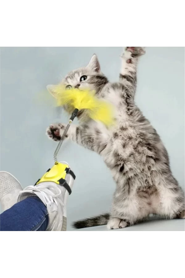 Ayağa Takılan Kedi Oyun Oltası
