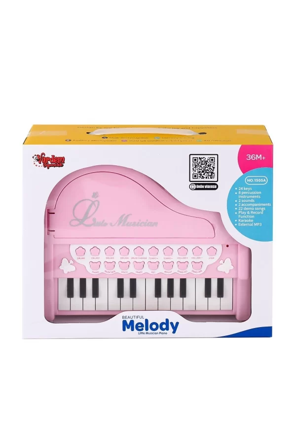 Bao-1505a Mikrofonlu Mini Piano 24 Tuş Mp3 Çalar