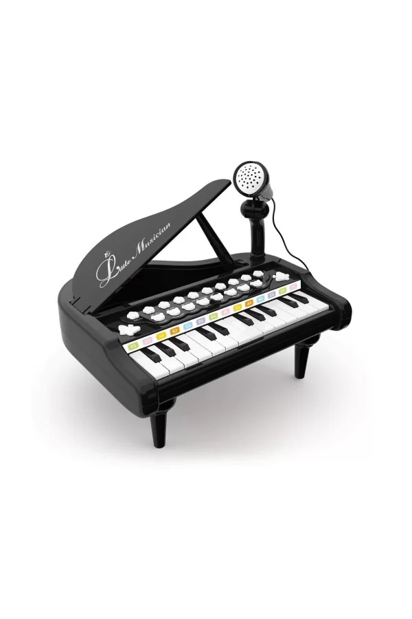 Bao-1505a Mikrofonlu Mini Piano 24 Tuş Mp3 Çalar
