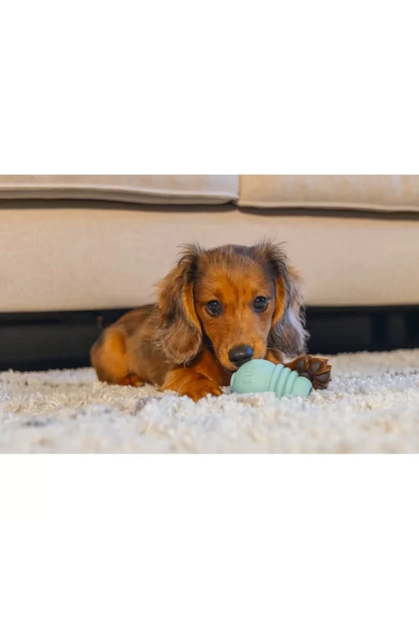 Beeztees Yavru Köpek Sumo Mını Dental Oyuncak Xs 3-6 kg
