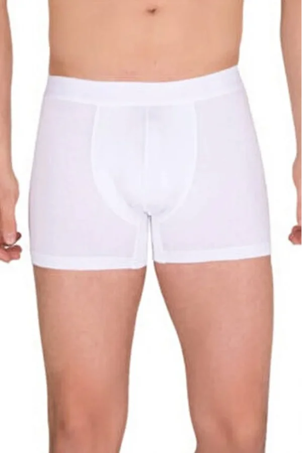 Berrak Erkek Modal Boxer  4476