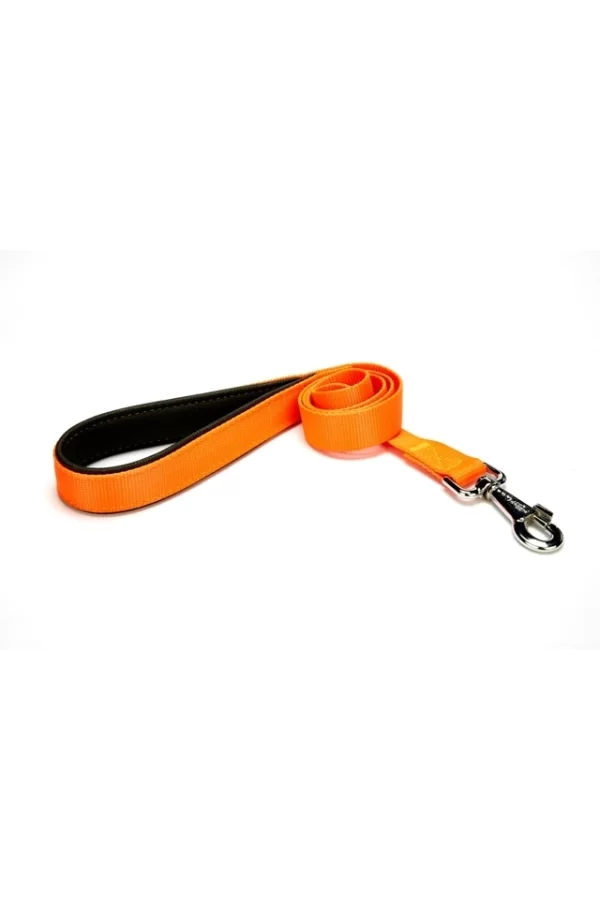 Doggie Comfort Köpek Gezdirme Kayışı 2,5*120 cm Turuncu