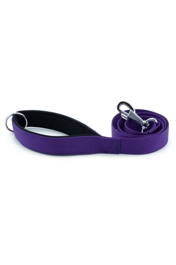 Doggie Comfort Köpek Gezdirme Kayışı 3*100 cm Mor