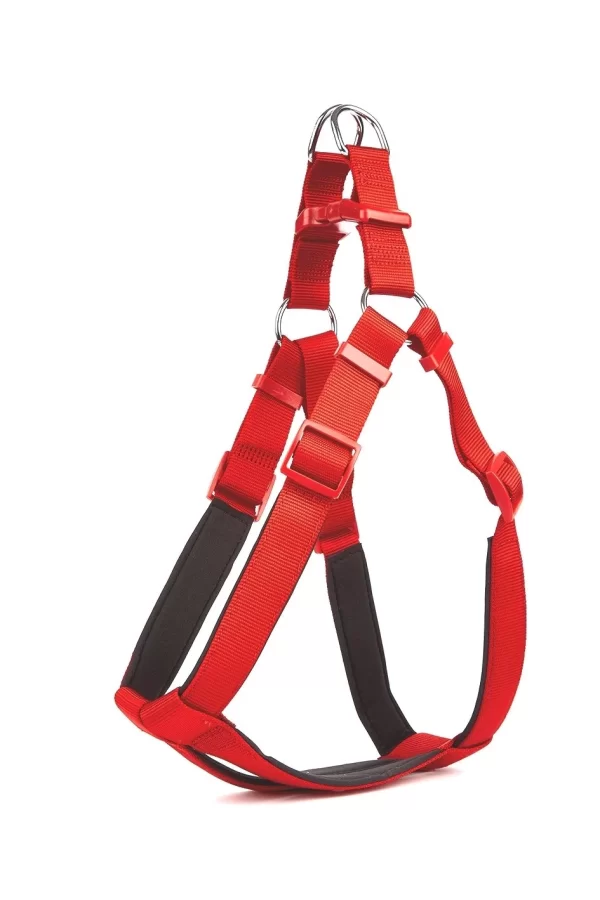 Doggie Comfort Ronin Köpek Bel Tasması 3cm-75 x 85 cm 3X-Large Kırmızı