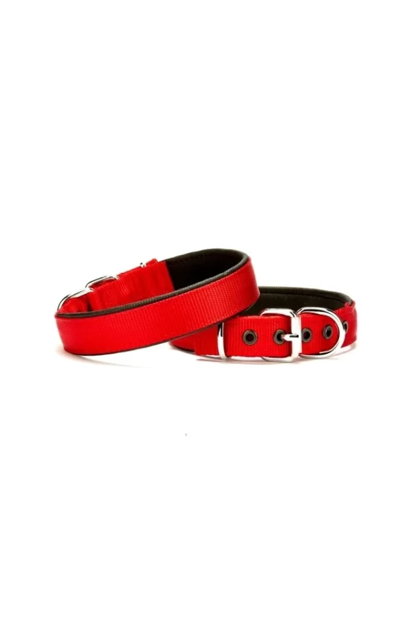 Doggie Softlu Köpek Boyun Tasması 2 cm x 40 cm Kırmızı