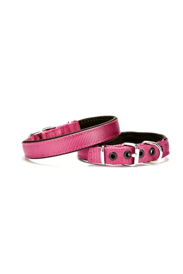 Doggie Softlu Köpek Boyun Tasması 2 cm x 40 cm Mor