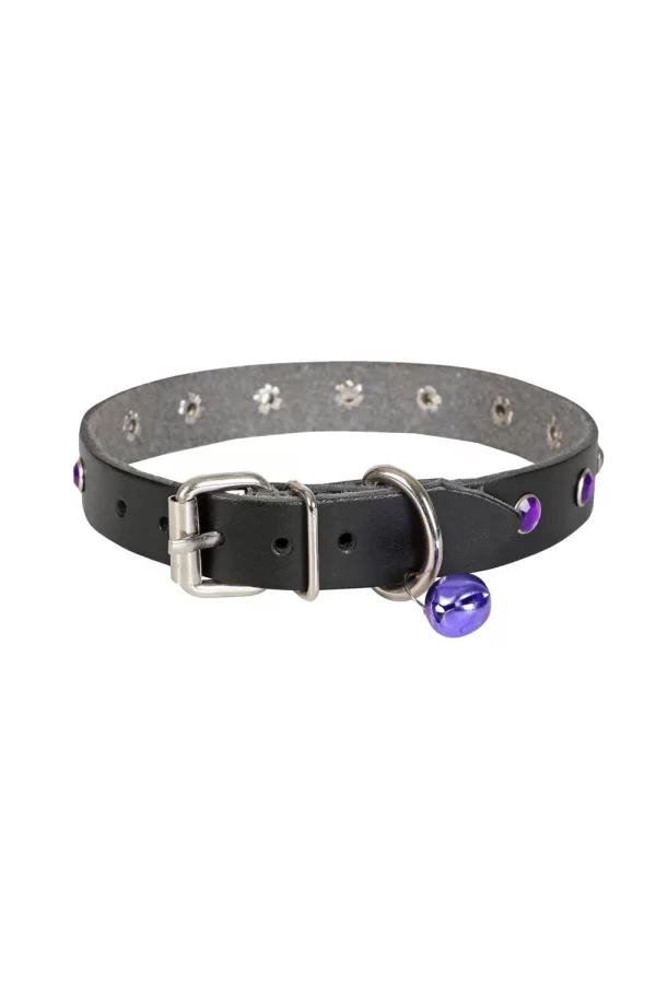 Doggie Taşlı Kedi ve Yavru Köpek Tasması 1*23 cm Mavi Medium