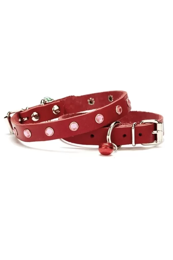 Doggie Taşlı Kedi ve Yavru Köpek Tasması 1,0x19 cm Kırmızı Small