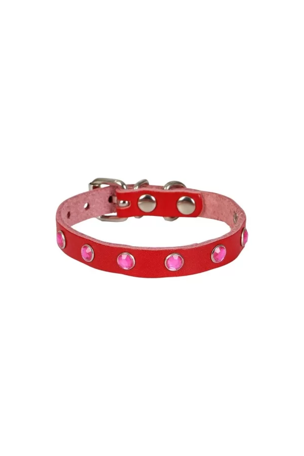 Doggie Taşlı Kedi ve Yavru Köpek Tasması 1,0x19 cm Kırmızı Small