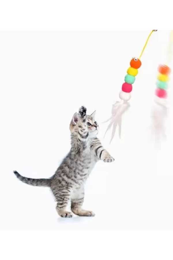 Elastik Yapışkanlı Kedi Oyun Oltası