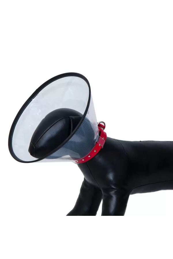 Elizabeth Köpek Yakalığı 20 CM
