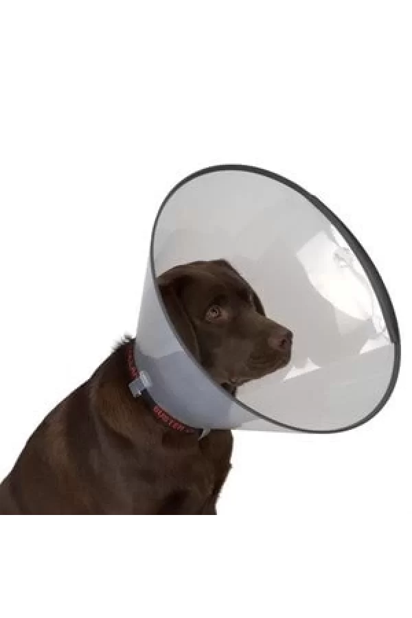 Elizabeth Köpek Yakalığı 20 CM