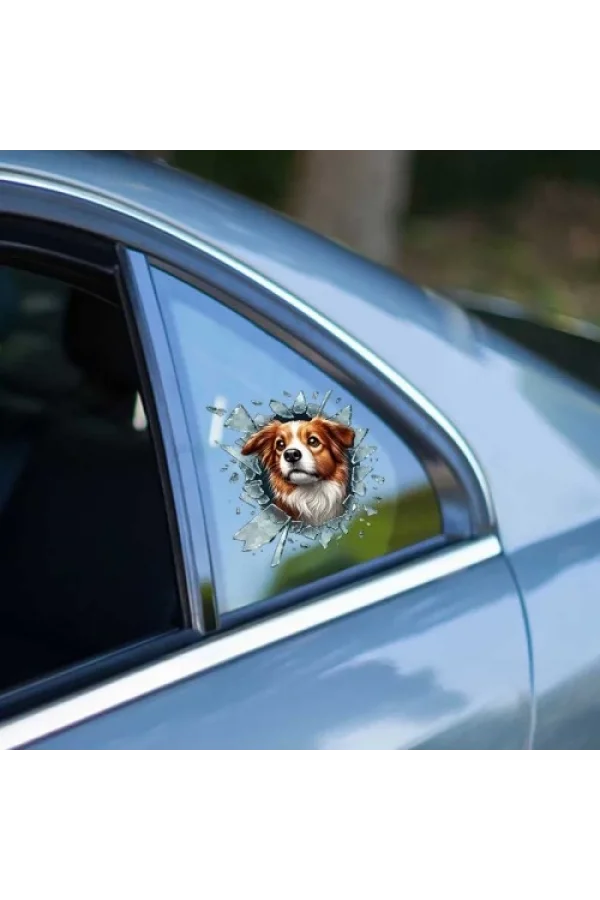 Fulcar Australian Shepherd Araç Stickerı