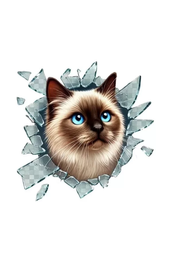 Fulcar Siamesse Araç Stickerı