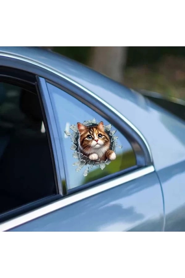Fulcar Stray Araç Stickerı
