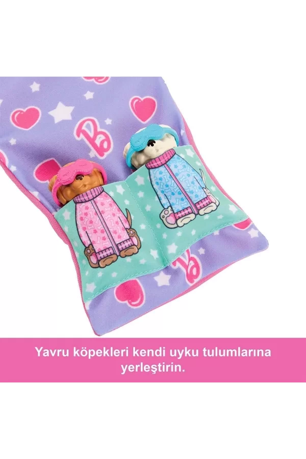 Hxn01 Barbie Ve Köpekçikleri Pijama Partisi