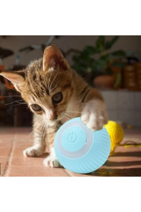 İnteraktif Kedi Köpek Şarjlı Oyun Topu