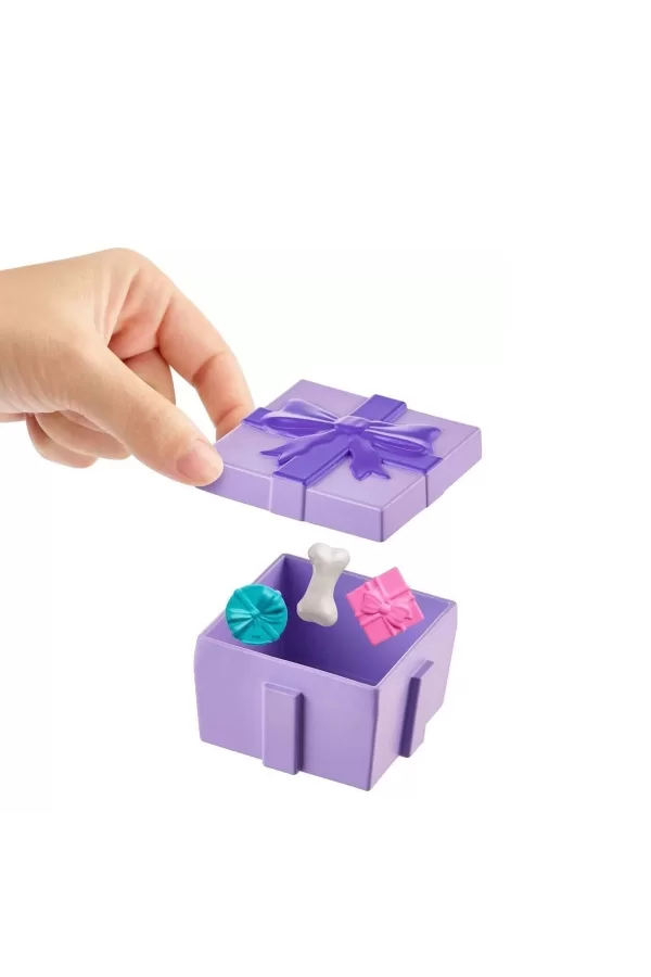 Jcc33 Polly Pocket Pollynin Doğum Günü Partisi Paketi