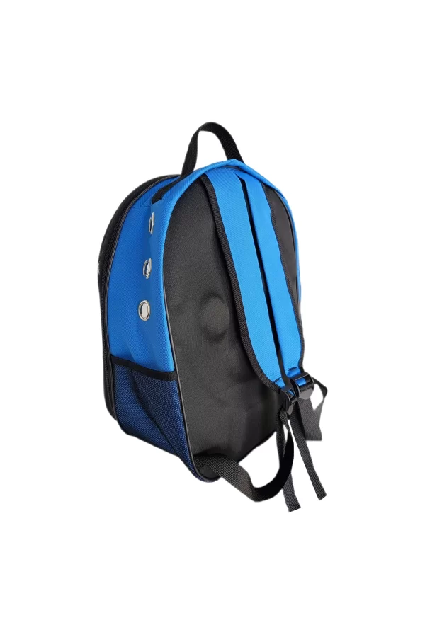Kalpli Patili Astronot Şeffaf Taşıma Sırt Çantası Mavi 24x32x42 cm