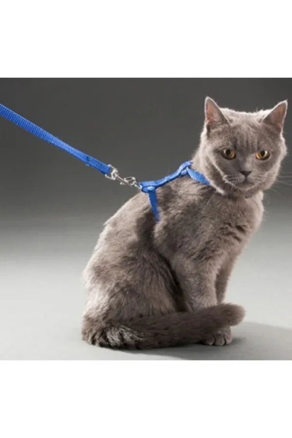 Kedi Boyun ve Göğüs Tasması