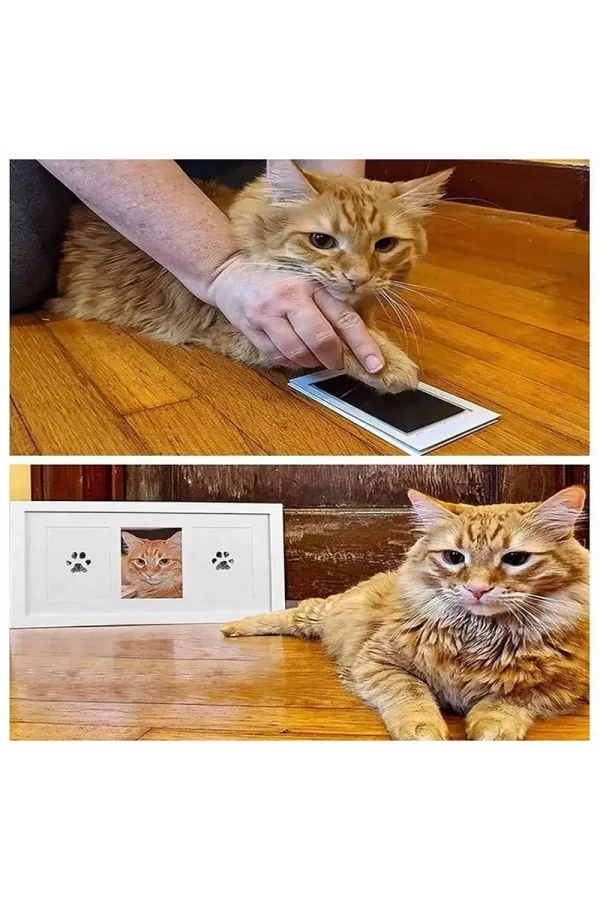 Kedi Köpek Pati İzi Fotoğraf Çerçevesi Seti