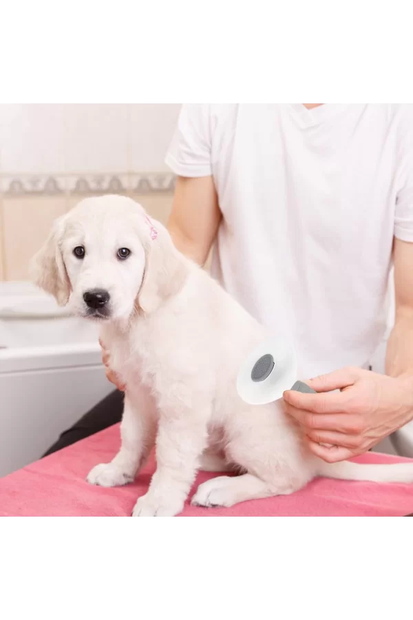 Kedi Köpek Tüy Toplayıcı  Pet Tarak 20 Cm