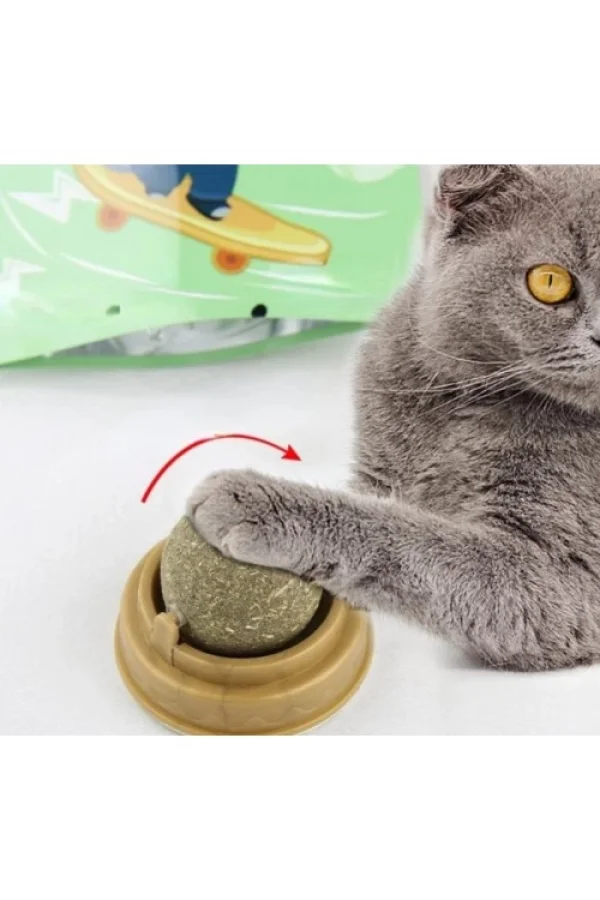 Kedi Nanesi Oyun Topu
