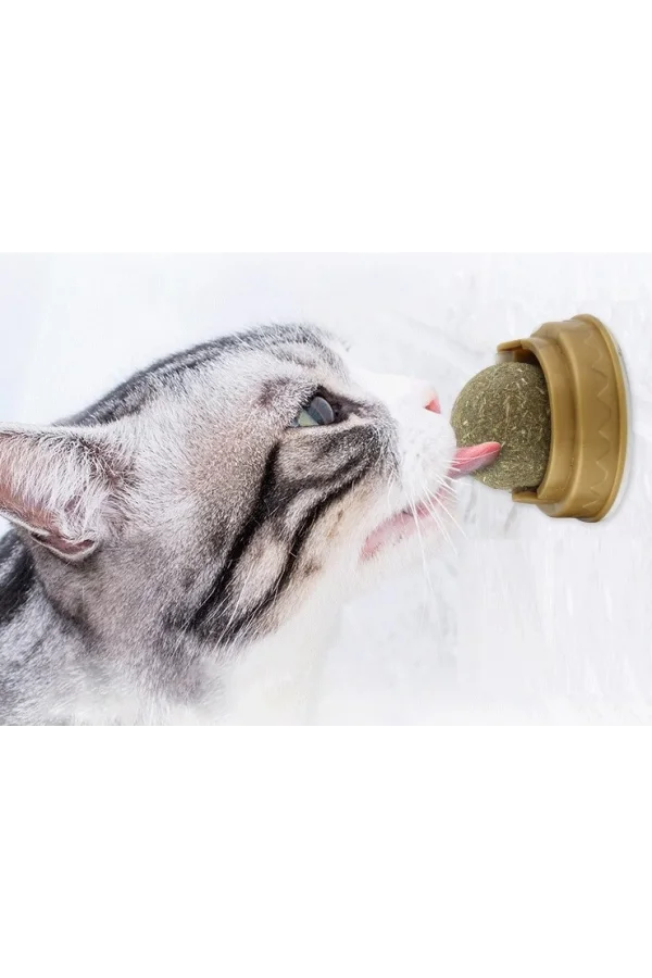 Kedi Otu Oyun Topu