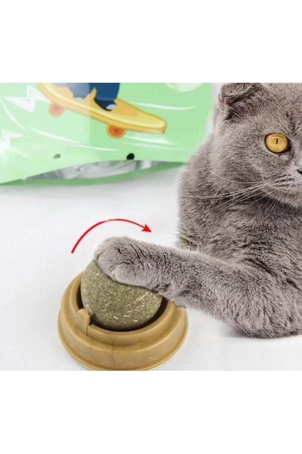 Kedi Otu Oyun Topu