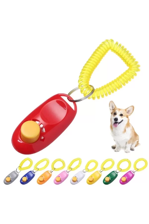 KÖPEK EĞITIMI CLICKER