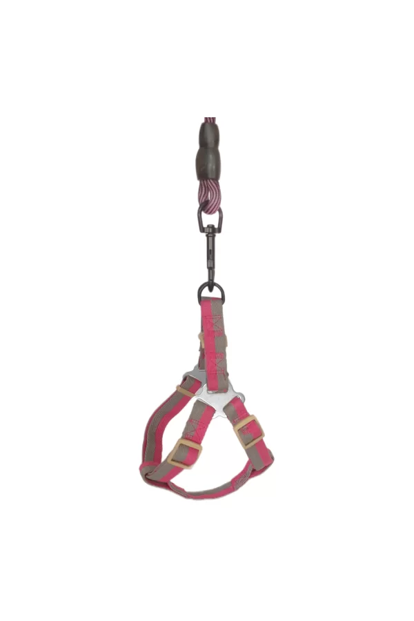Köpek Göğüs Tasma Seti Dalga Desenli 2 cm*40-58 cm Mor-Pembe